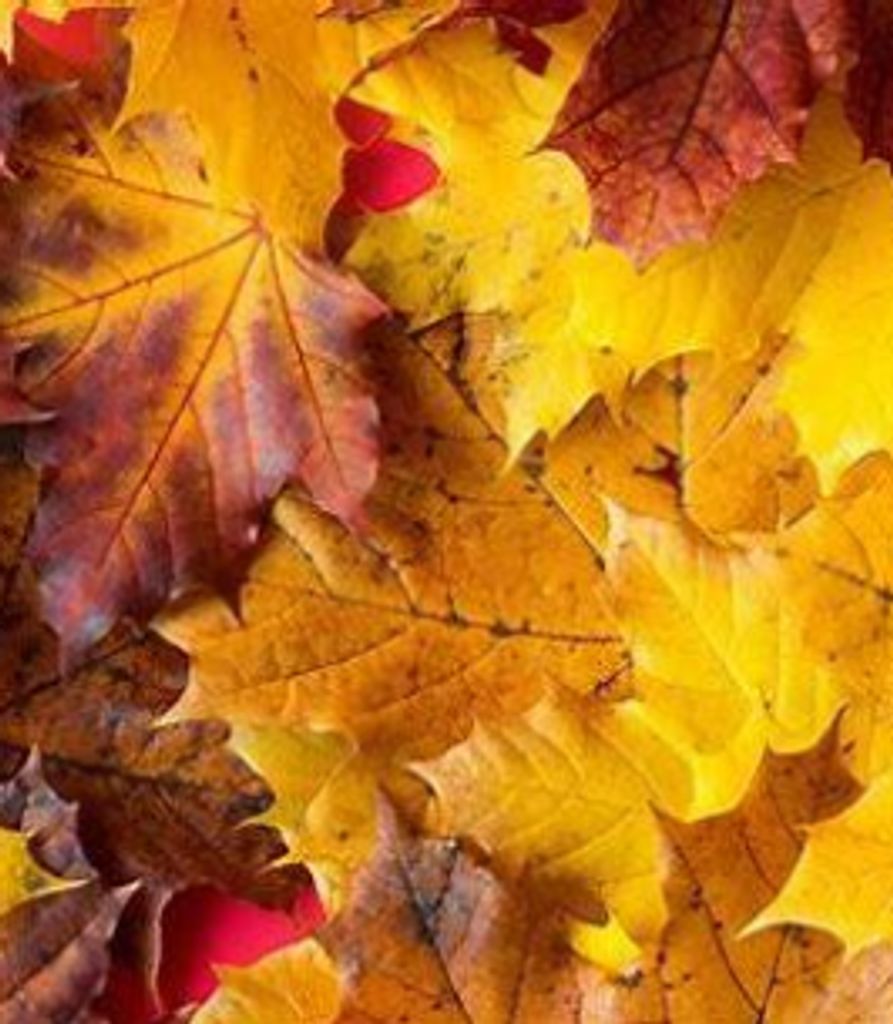 Barbara Kasper Profile Photo