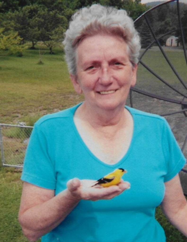 Betty Lou Deangelo Profile Photo