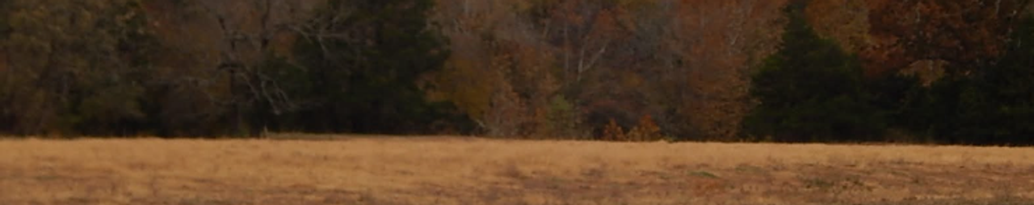 Cover photo for Janie Mae Hutson's Obituary