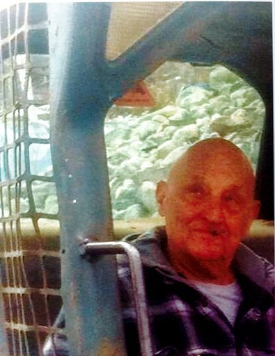 Anthony T. Donato Profile Photo