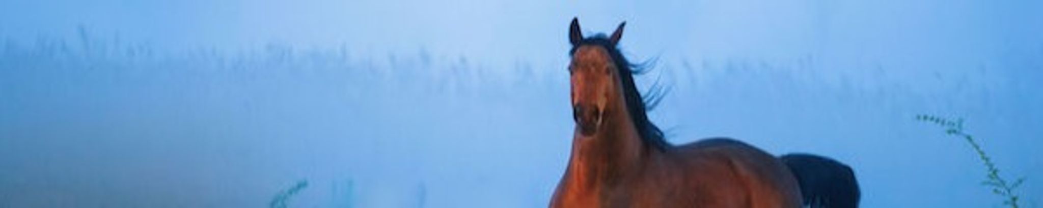Cover photo for Vincent Arnold Longclaws's Obituary