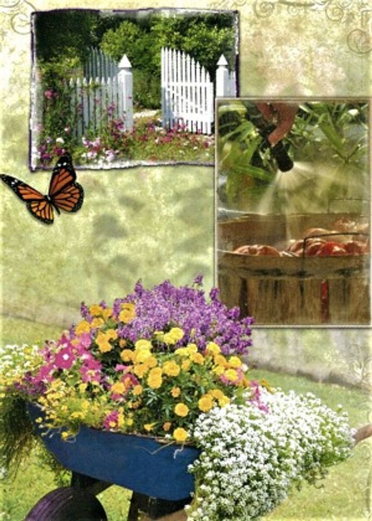 Patricia Lou Arnold Profile Photo