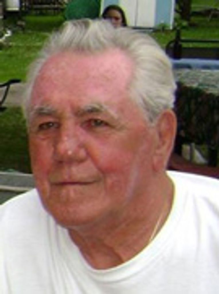 Albert Louis Shipman