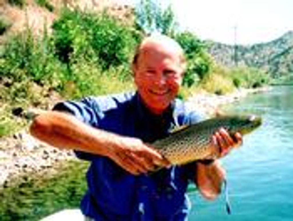 Charles A. Greathouse Iii