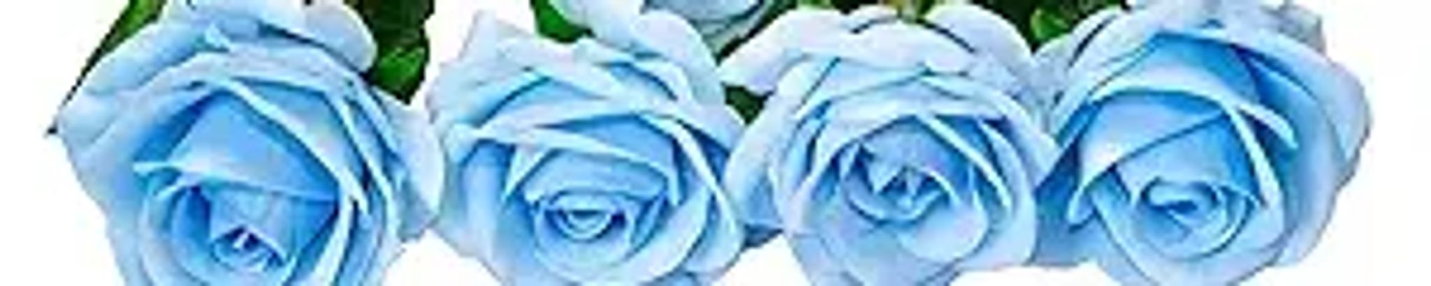 Cover photo for Lauren Rebecca St.Fort's Obituary