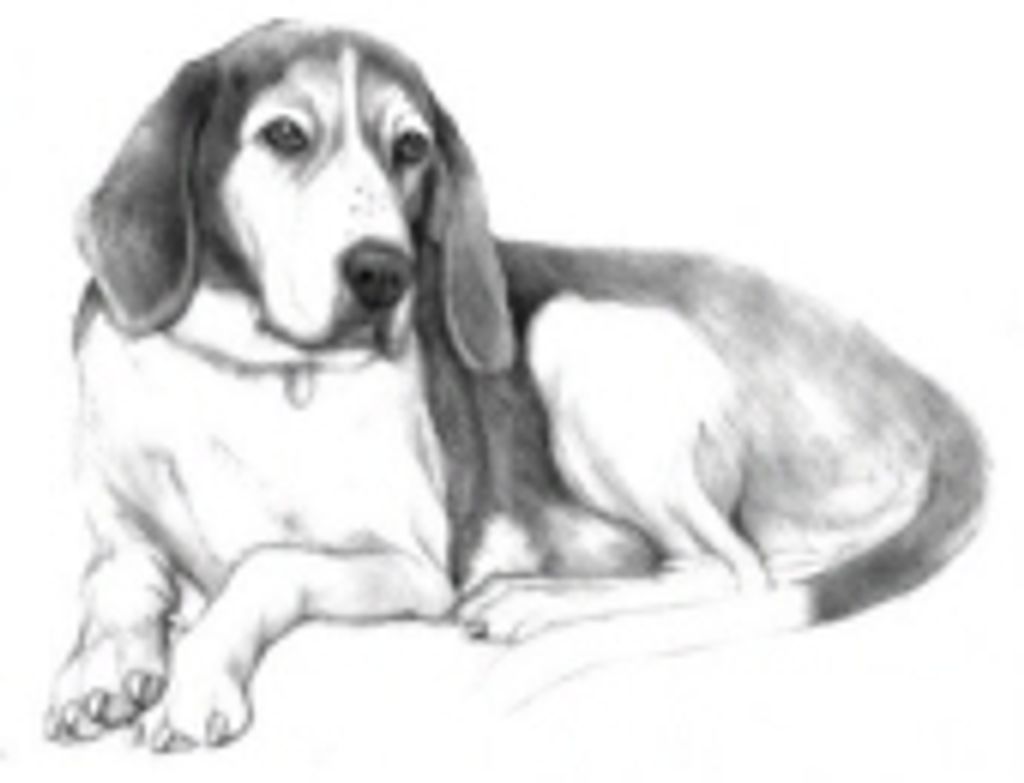 Rylie Bernard Profile Photo