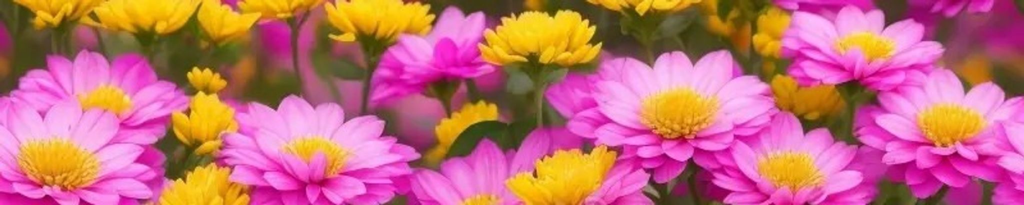 Cover for Natalie Ann Kleeschulte's Obituary