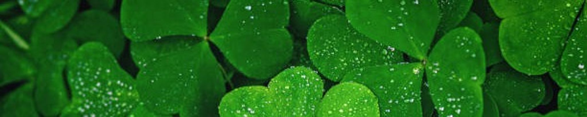 Cover for Patrick Joseph Carty's Obituary