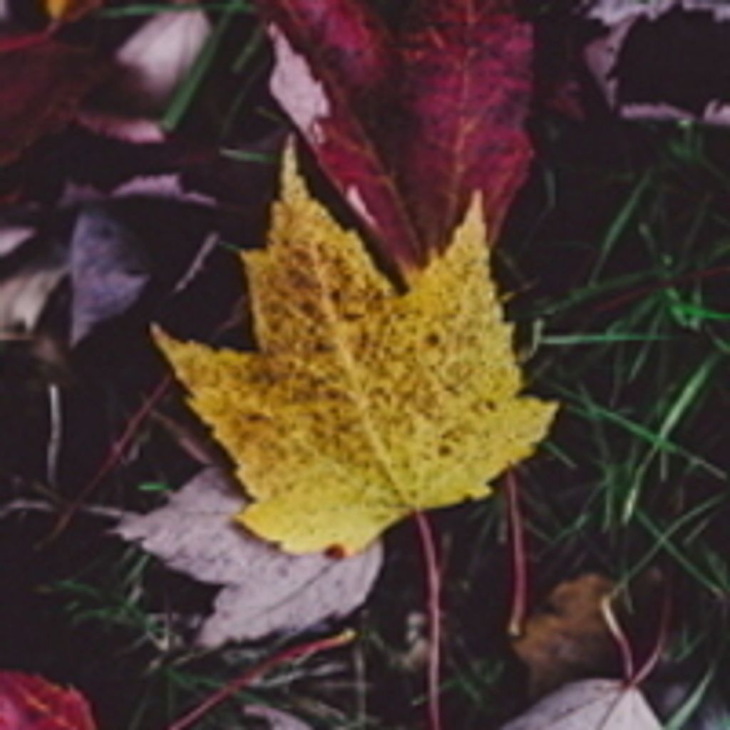 Mark S. Sabolsky