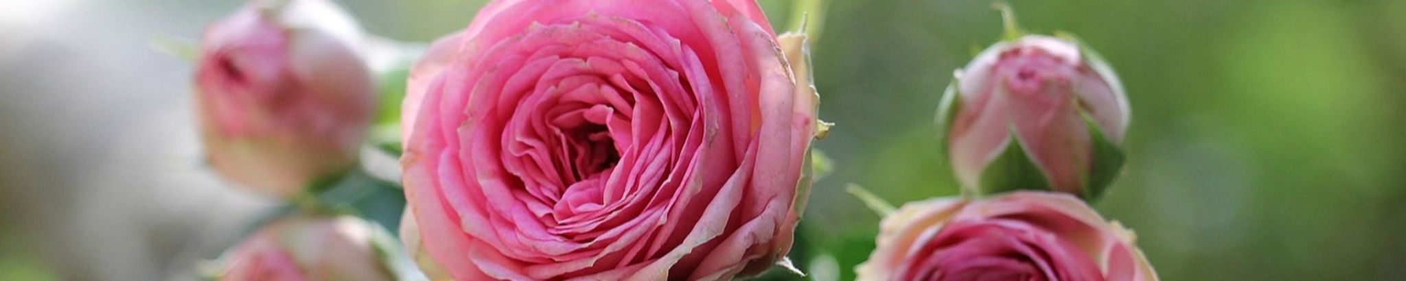 Cover photo for Edna Lucille Schlueter's Obituary