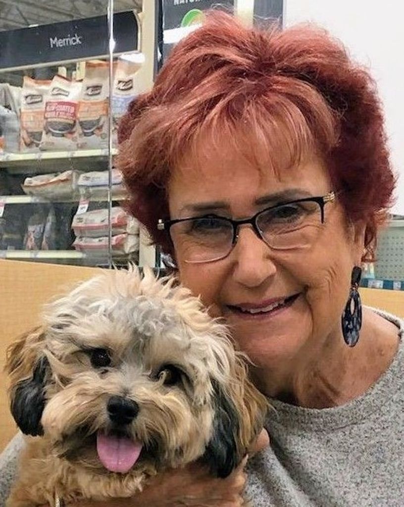 Barbara Ann (Begelman)  Bostelman Profile Photo