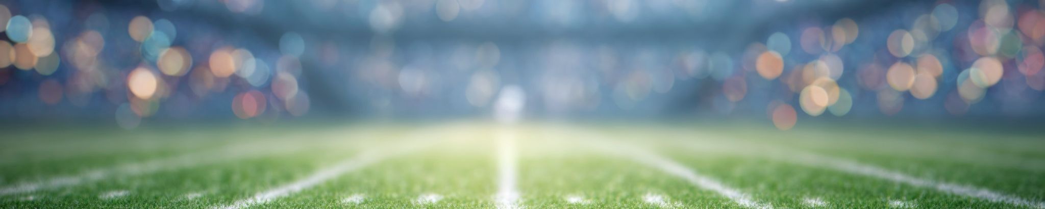 Cover for Mark Felix Robert Molina's Obituary