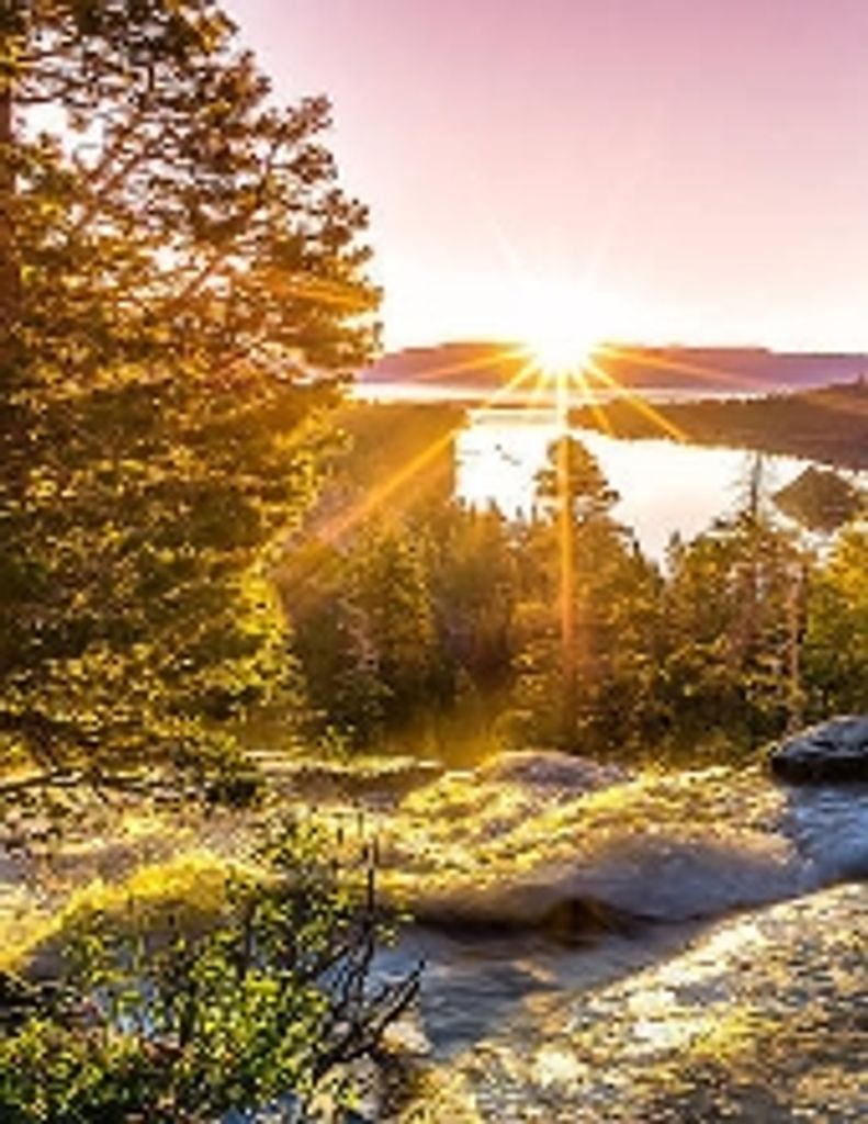 Ronald Edward Hammock