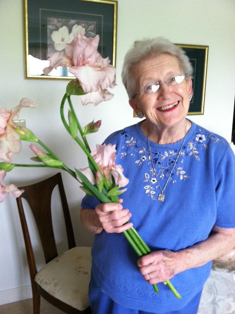 Dorothy Anne Lardieri Profile Photo