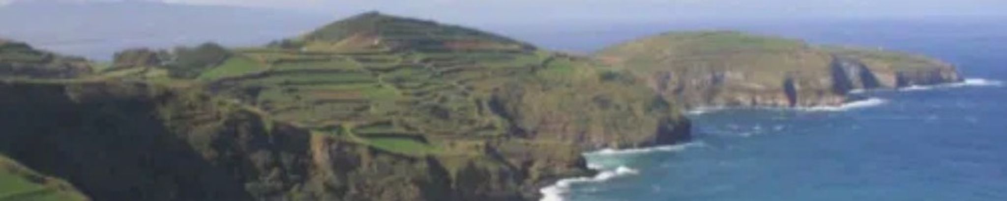 Cover for Mario Carreiro's Obituary