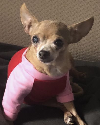 Almond ?'s obituary image