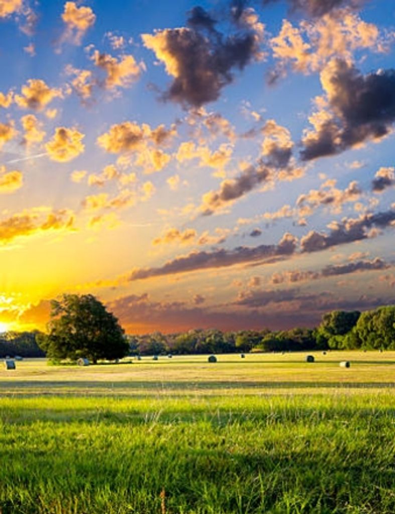 Peter King Santiago, Sr.