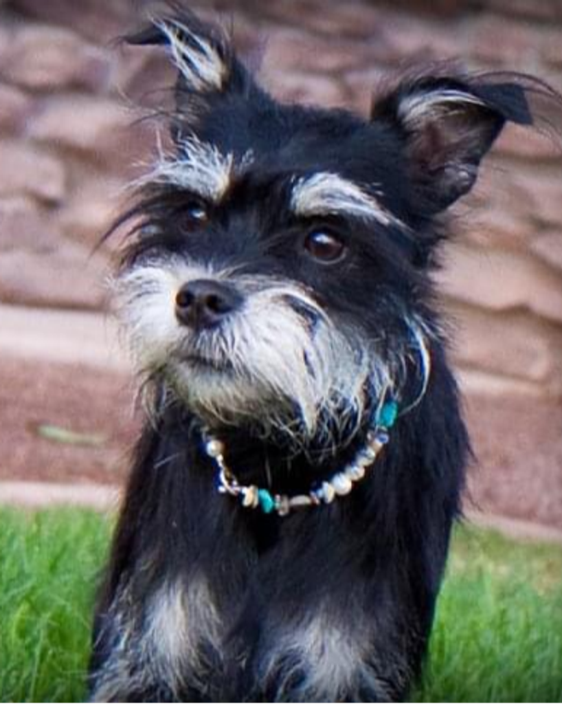 Miss Rufus Foutz Profile Photo