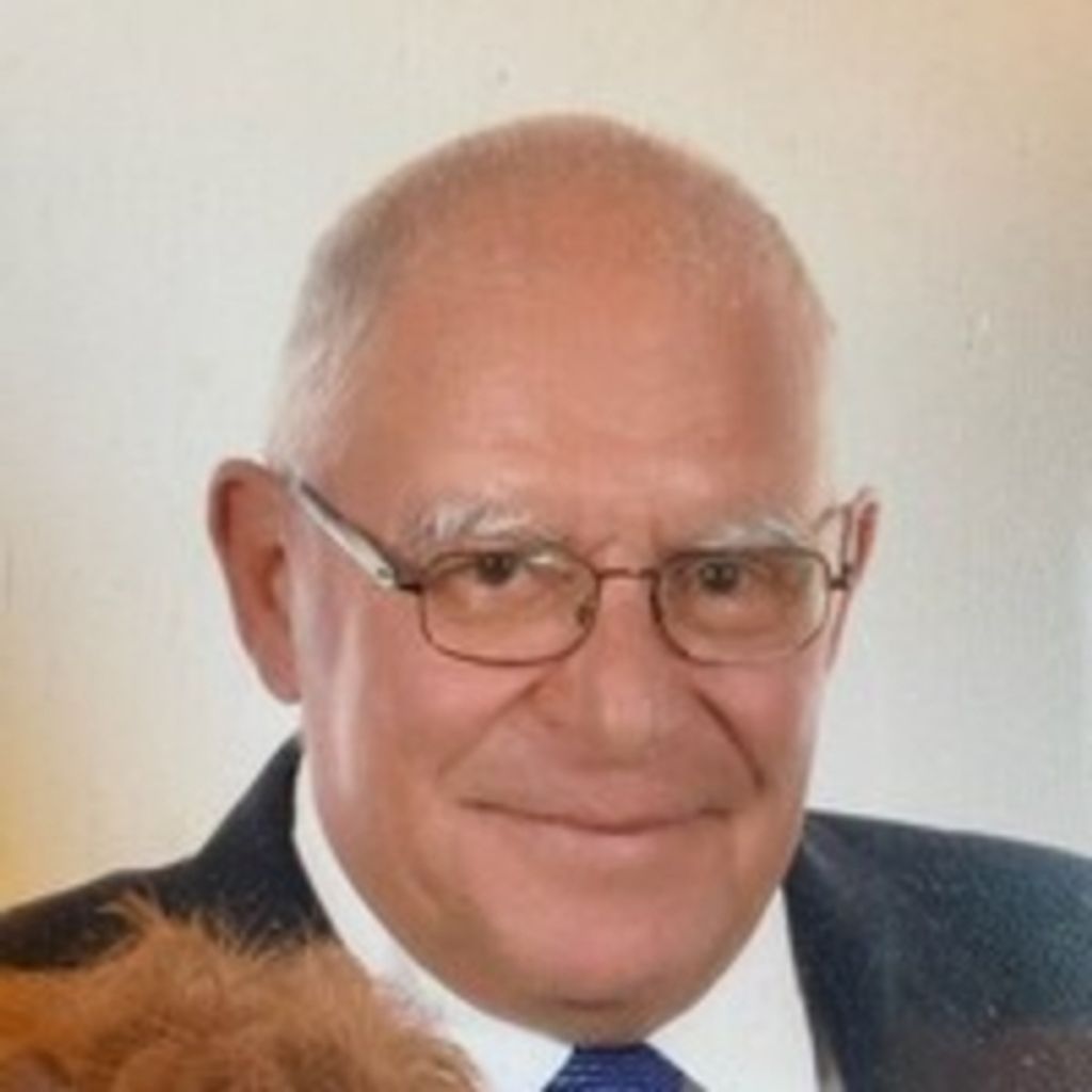David J. Pileggi