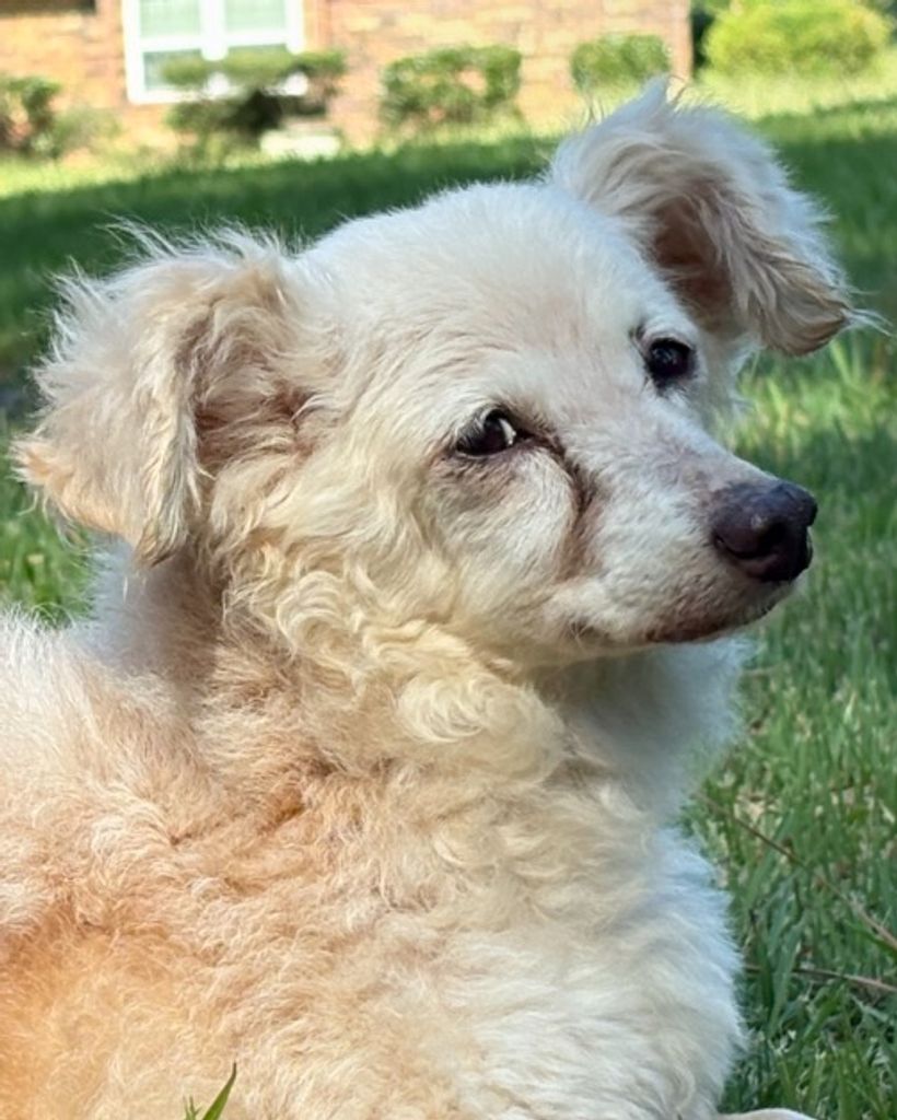 Lilly Robinson Profile Photo