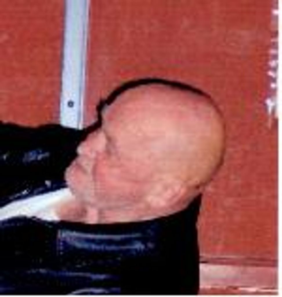 John Tolan