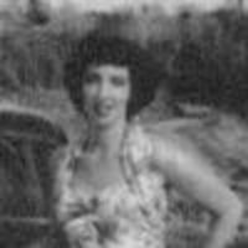 Paulette D Kleinman
