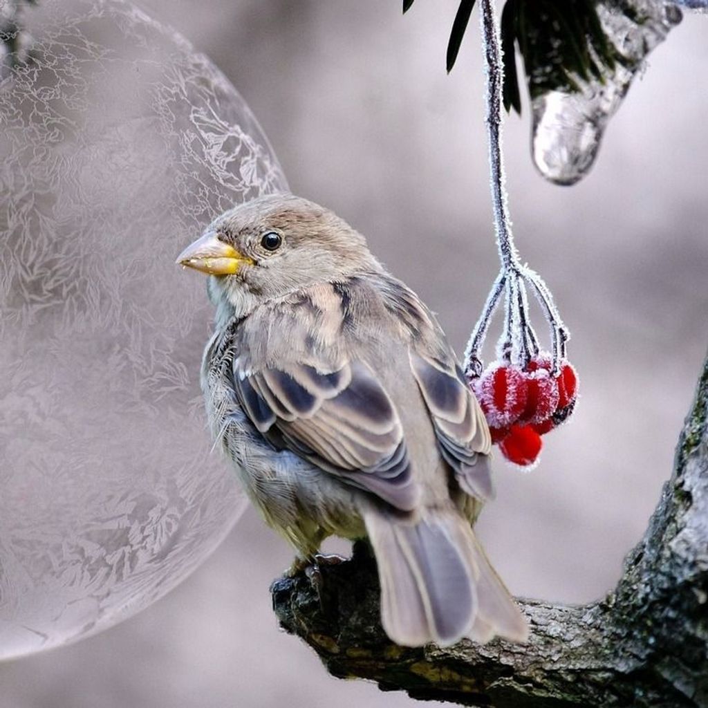 Edward Murray Profile Photo