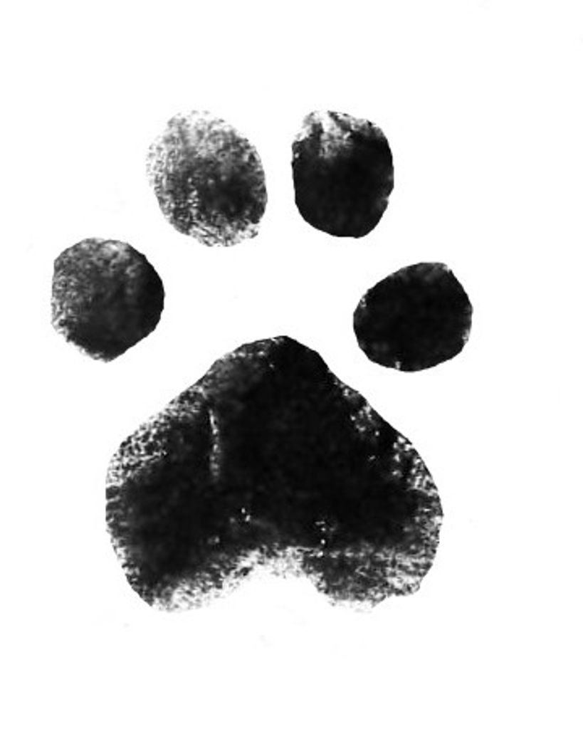 Maggie Bagliuio Profile Photo