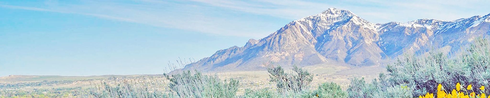 Cover photo for Steven Arlo Larsen's Obituary