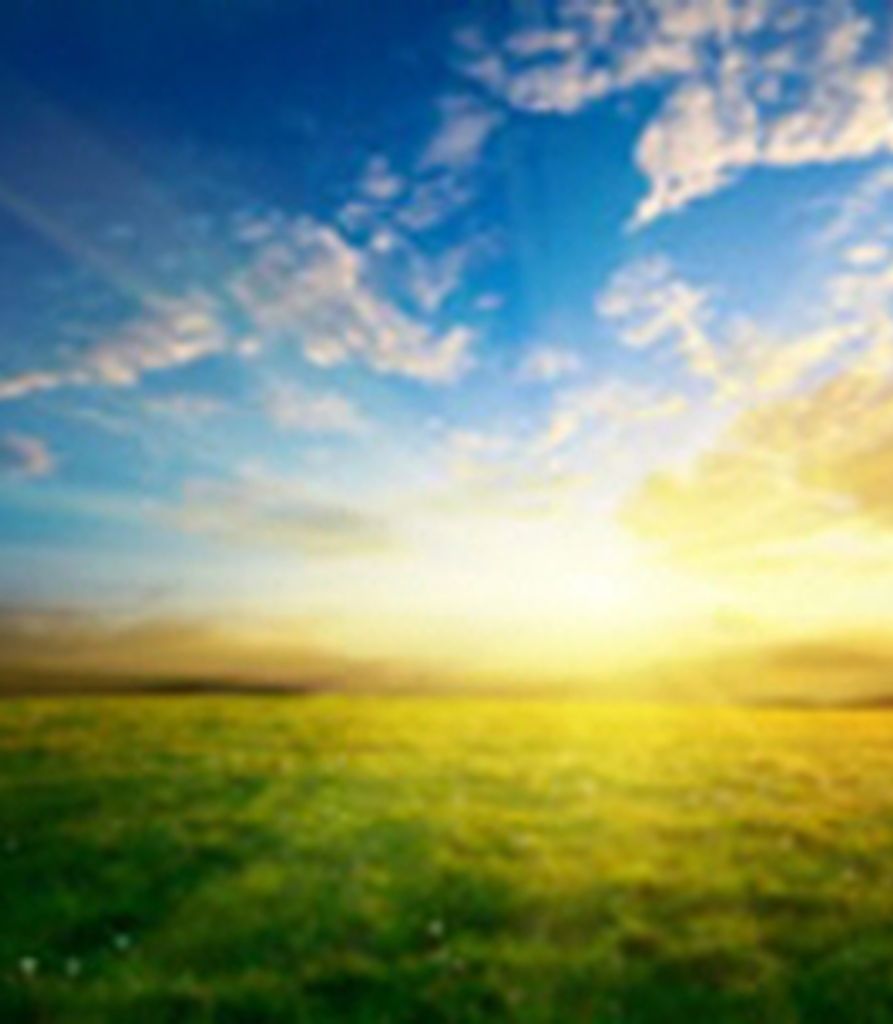 Judith Mooney Profile Photo