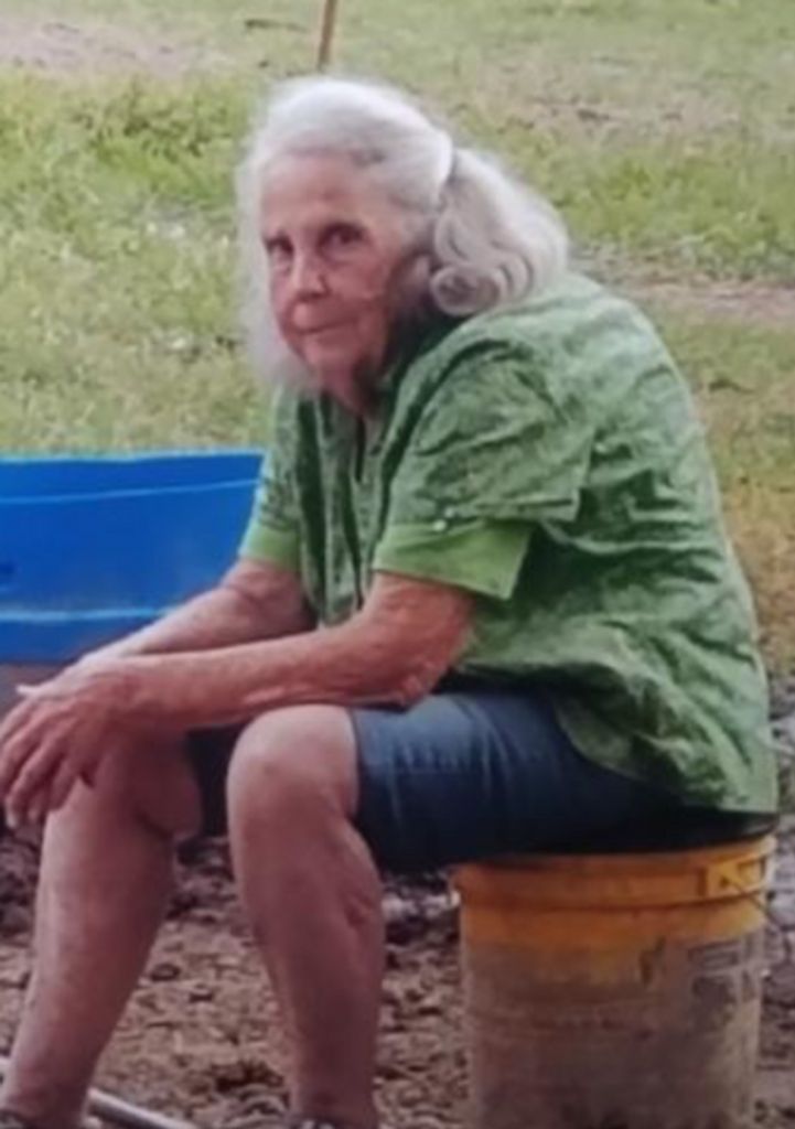Phyllis Jean Law Profile Photo