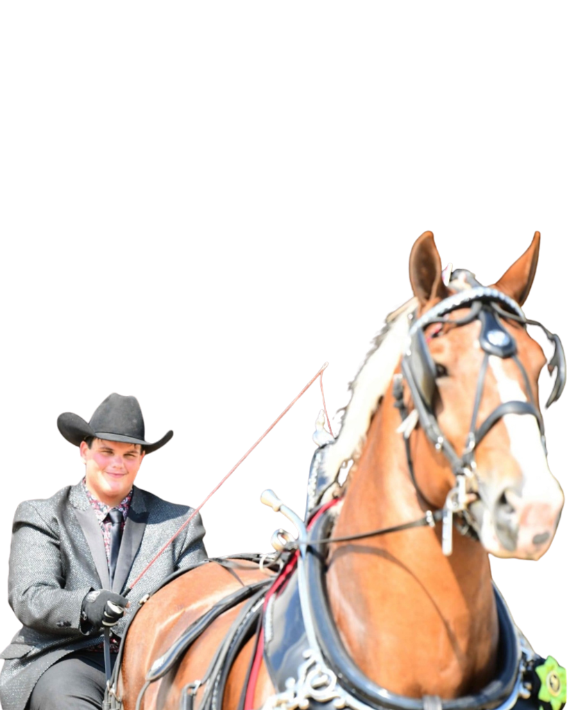 Joshua Wayne Armstrong