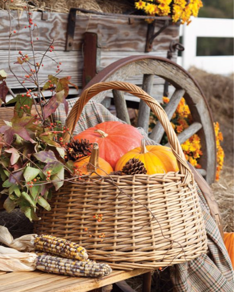 Velma Colleen Krupa Profile Photo