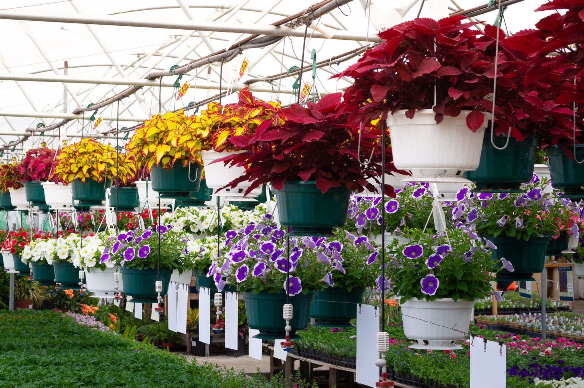 Cover for Brian Lynn Darnall's Obituary