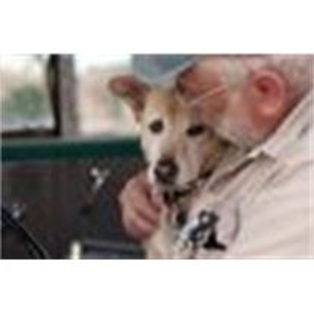 John David (J.D.) Age - 73 - Arroyo Seco Smith