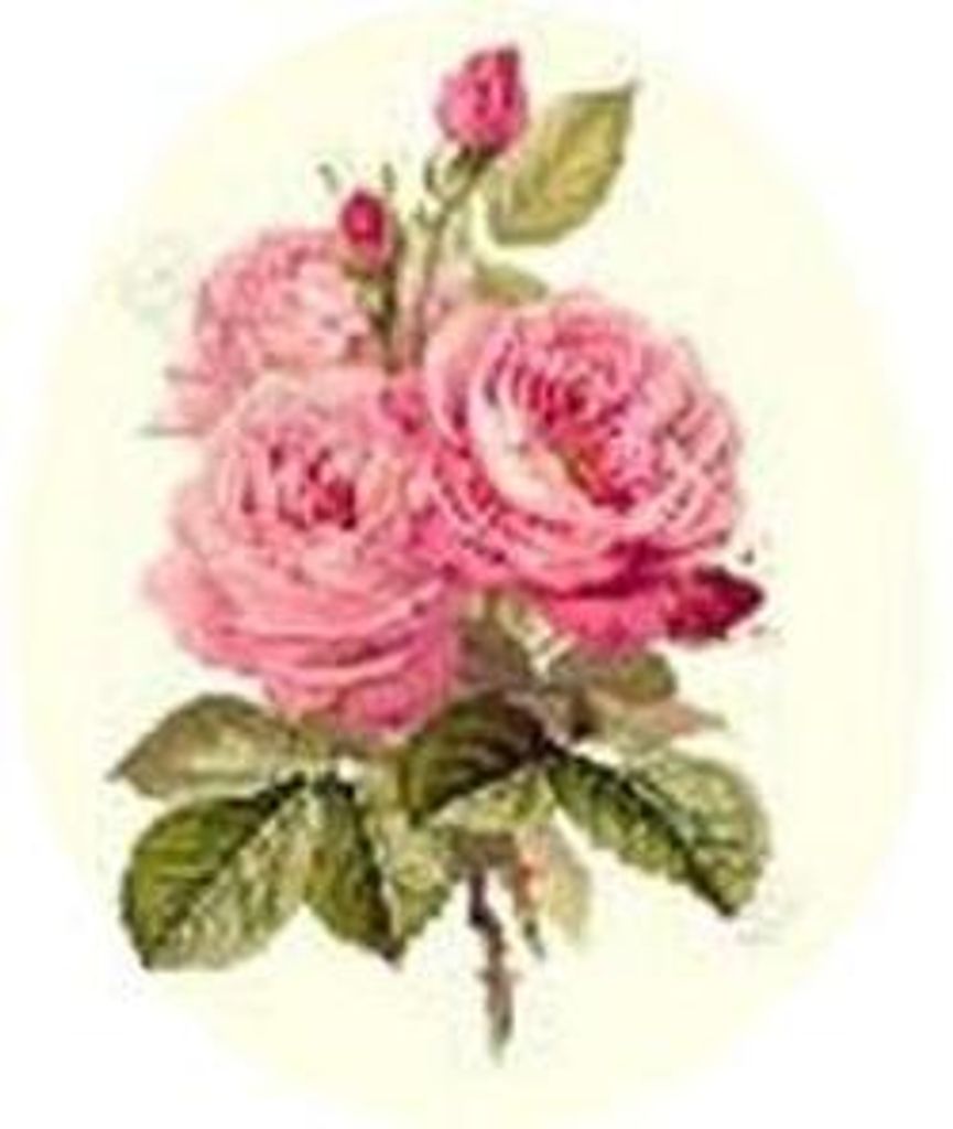 Lena (Wedel) Nightingale Profile Photo