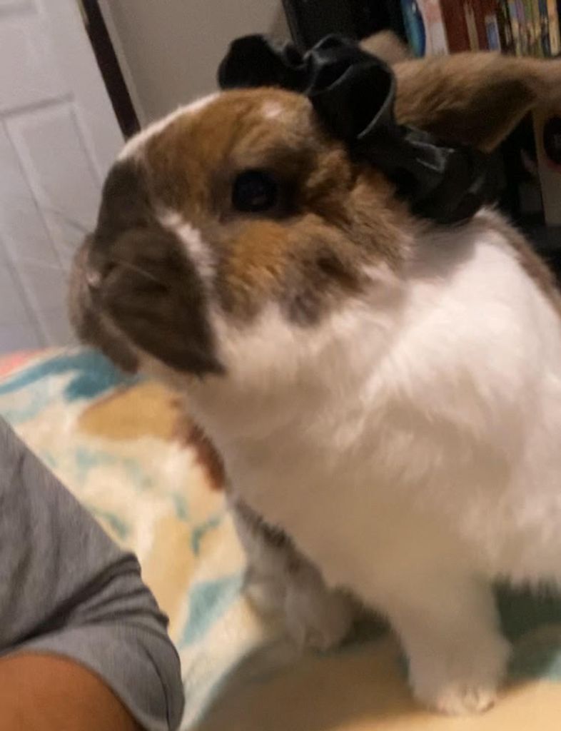 Bernie Profile Photo