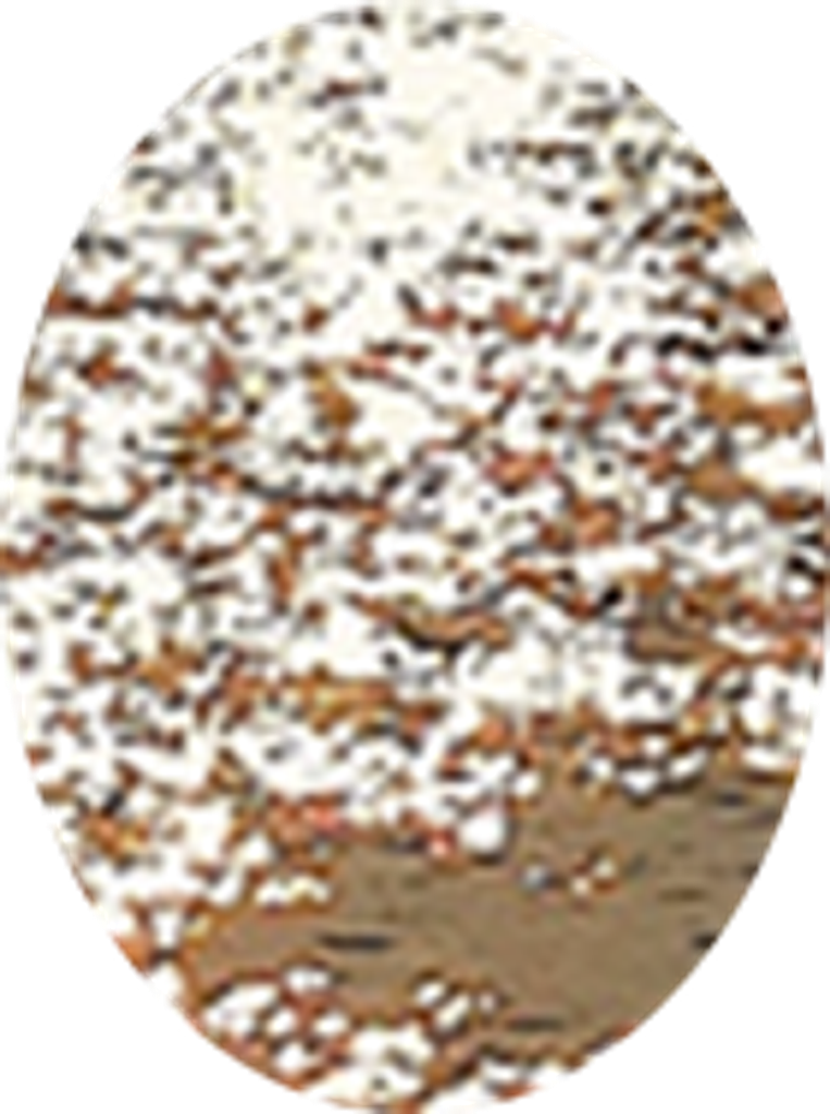 Joe Jeffs Profile Photo
