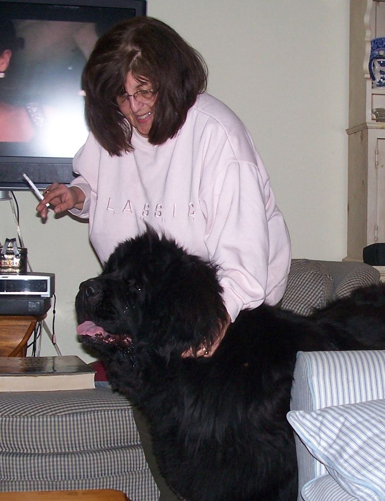 Carol J. Palmer Profile Photo
