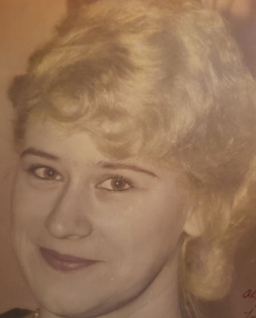 Nancy Ann Vermilyer Profile Photo