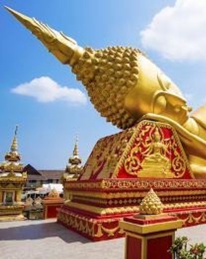 Muoi Luu Profile Photo