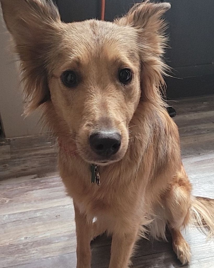 Bella Ornelas Profile Photo
