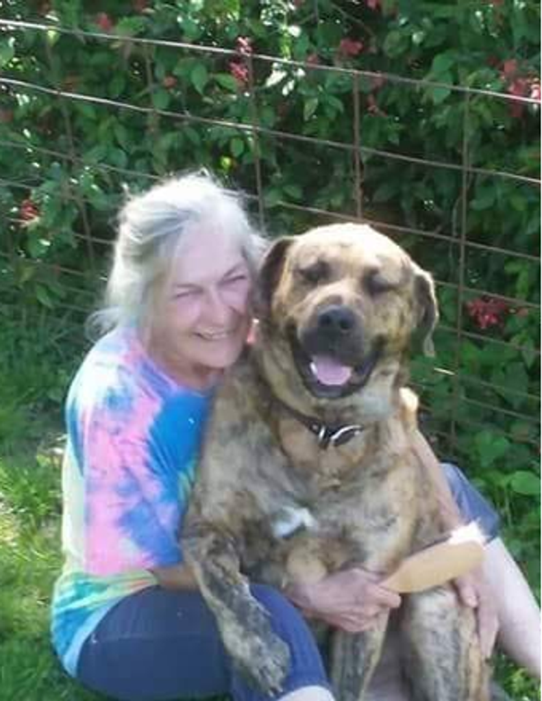 Patricia Dorsett Halfman