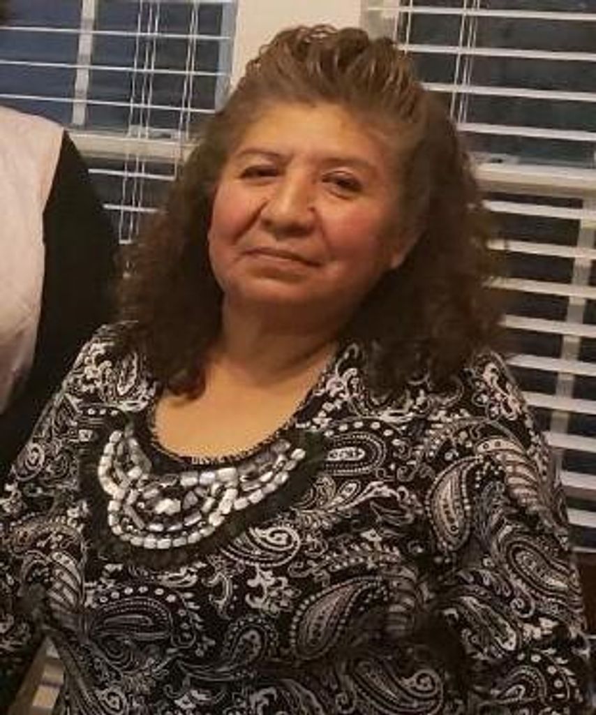 Sofia Galindo Profile Photo