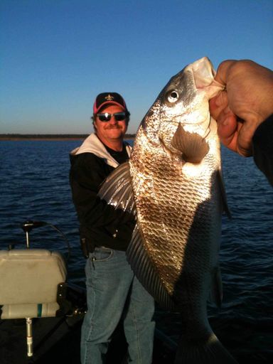 Don Anthony Geeck photo gallery thumbnail 78 of 145