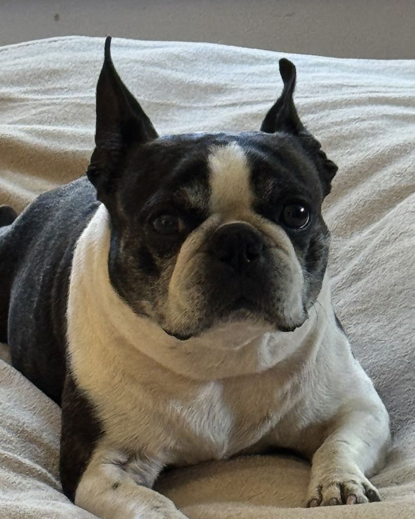 Thomas Byrd Clay Profile Photo