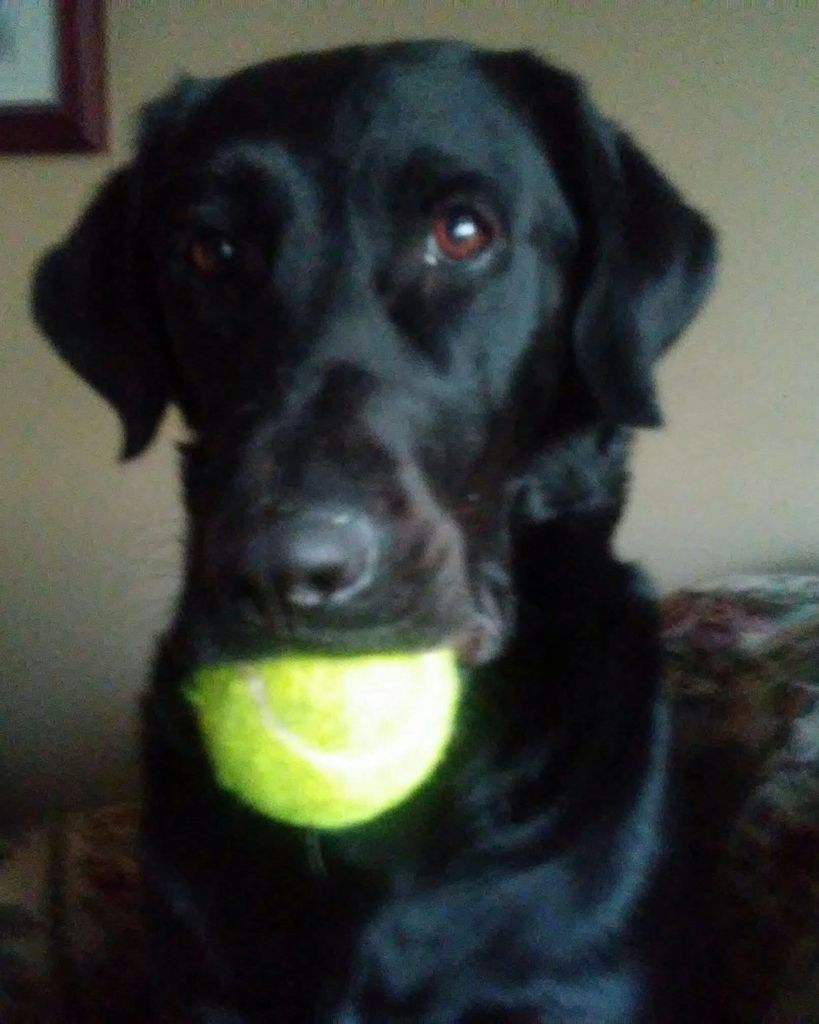 Jazzie Schuster Profile Photo