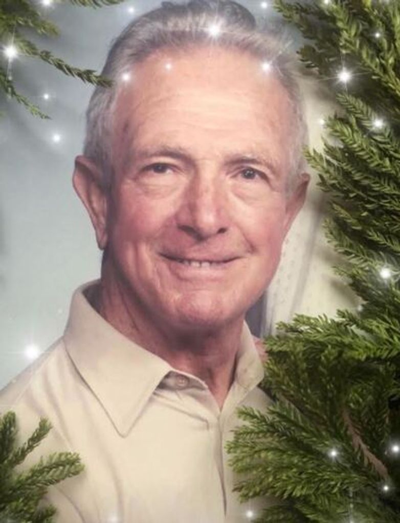 Patsy G D'Amato Profile Photo