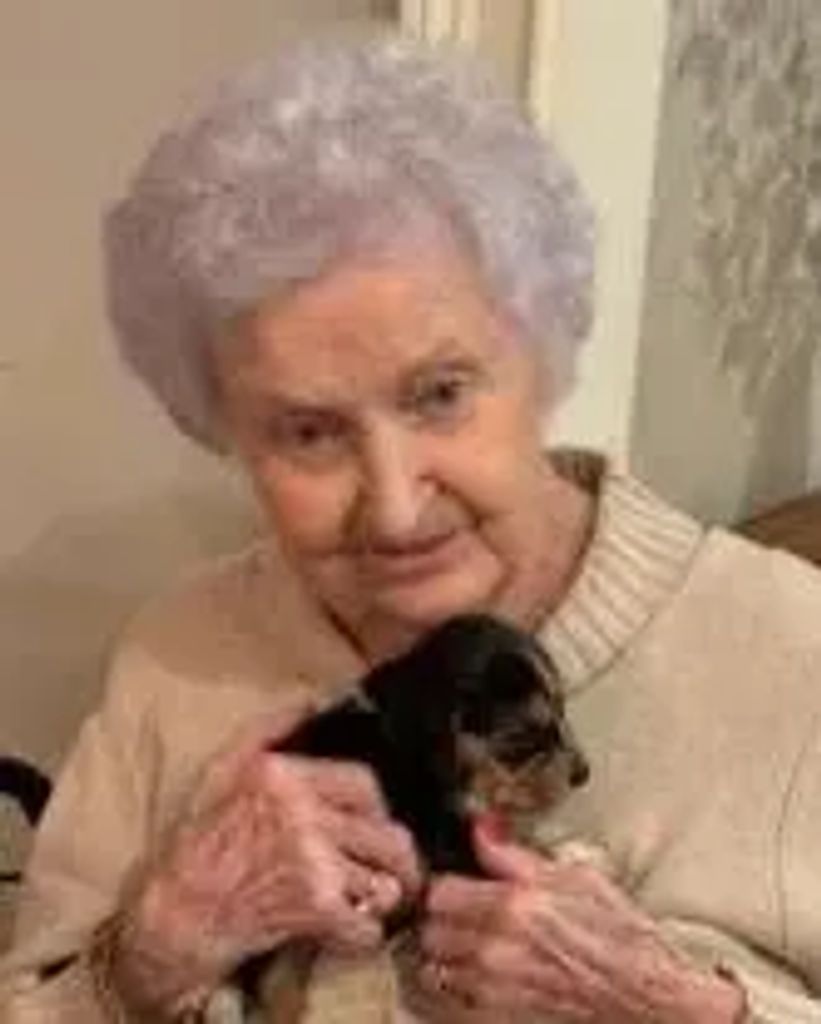 Aldine Causway Lewis