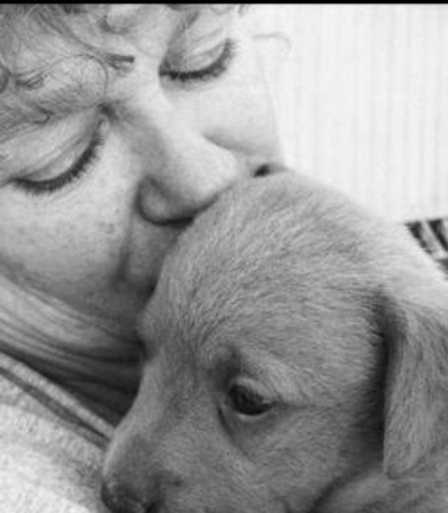 Judith Bush Profile Photo